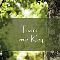 Teams Are Key